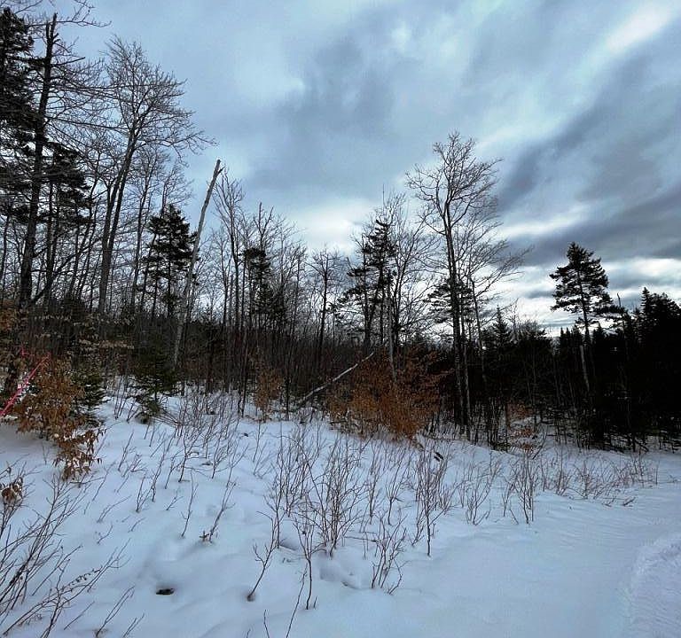 1st image of Lot 5 Black Bear Extension