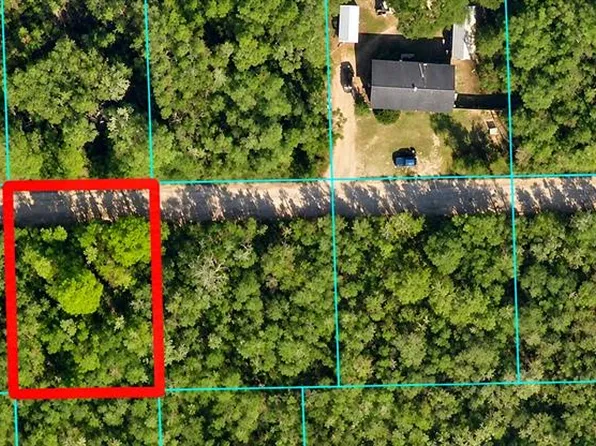 NE 233 LN LOT 20, FORT MC COY, FL 32134