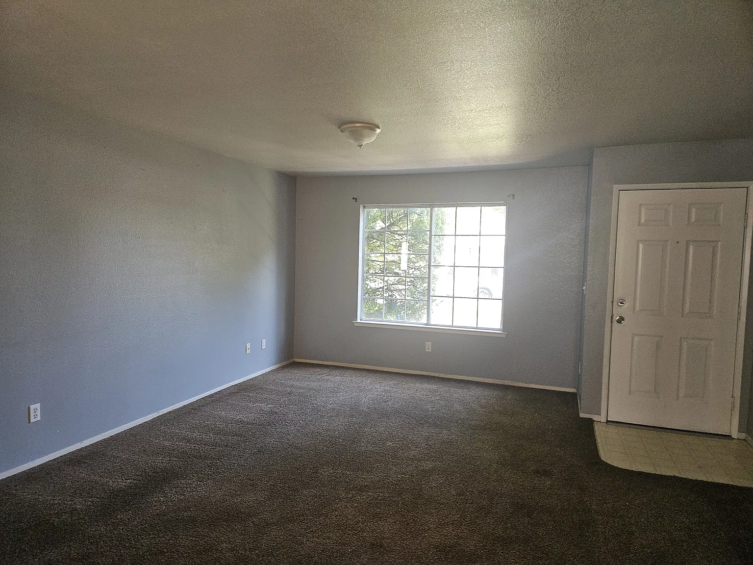 2 bed, $1,350 — Photo 3