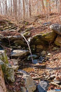477 Foothills Dr, Nellysford, VA, 22958