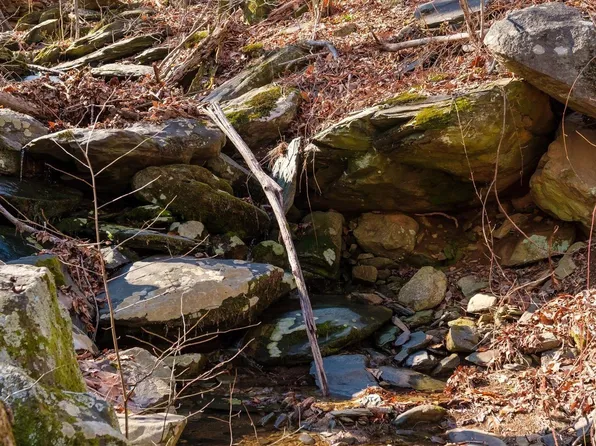 477 Foothills Dr, Nellysford, VA 22958