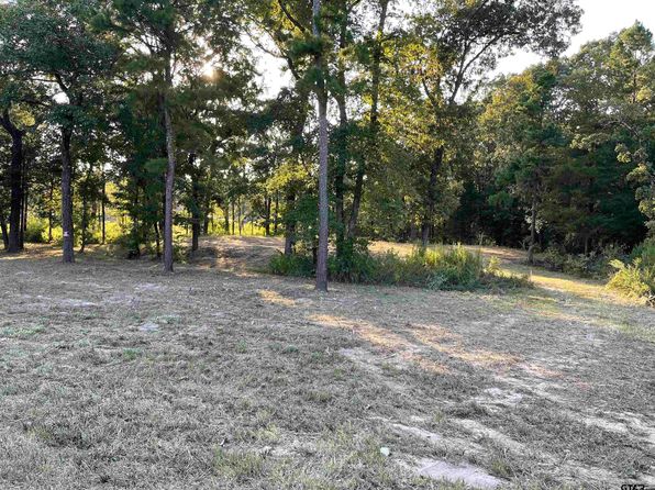 homes for sale by owner mineola tx