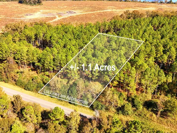 LOT 2 Middle Ground Church Rd, Chester, GA 31012