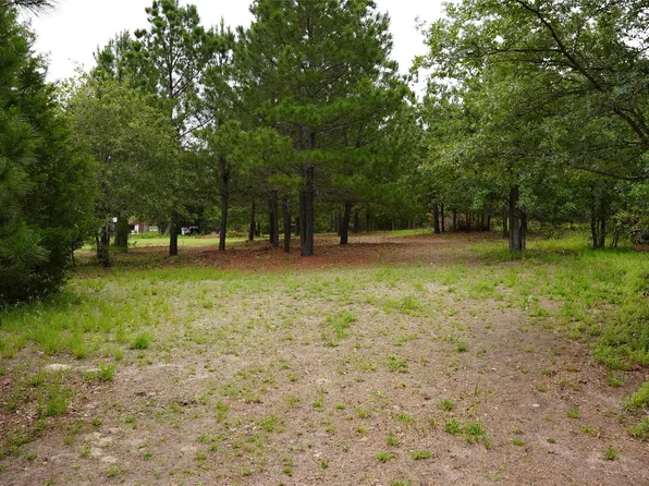 N Buckhorn Dr, Bastrop, TX 78602