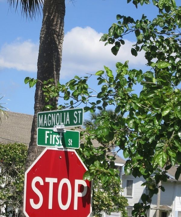 2nd image of 133 Magnolia St