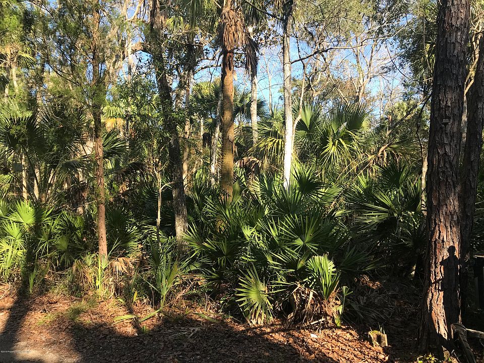 2nd image of 4669 S Shell Point