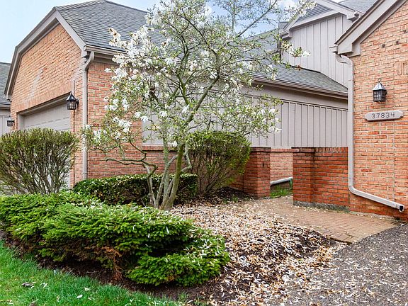 4th image of 37834 Siena Dr