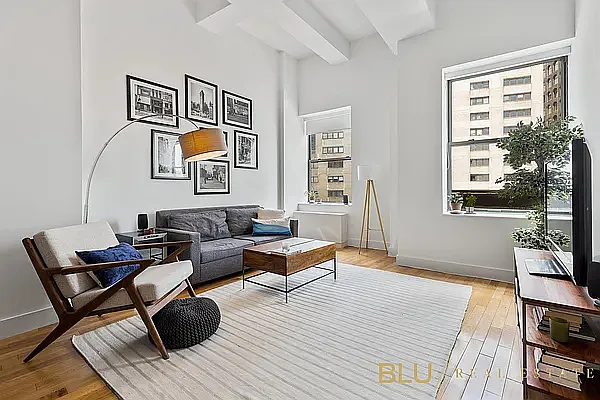 Rented by BLU Real Estate | media 15