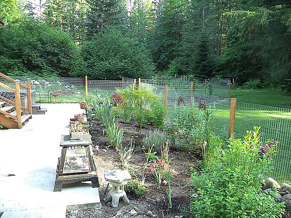 Fenced Backyard