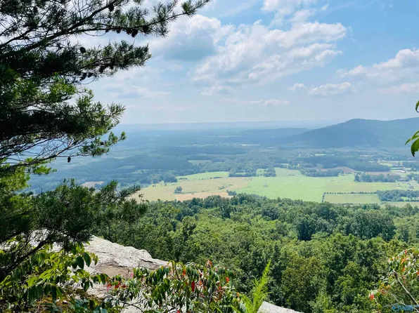 617 County Road 453, Stevenson, AL 35772