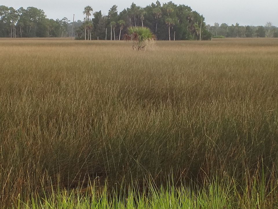 View from rear of property