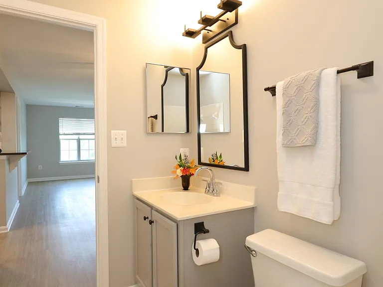 Guest bathroom