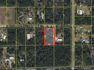4225 Kristen St, Hastings, FL 32145