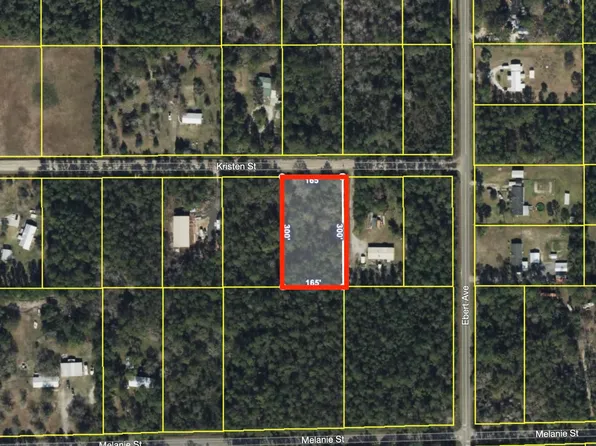 4225 Kristen St, Hastings, FL 32145