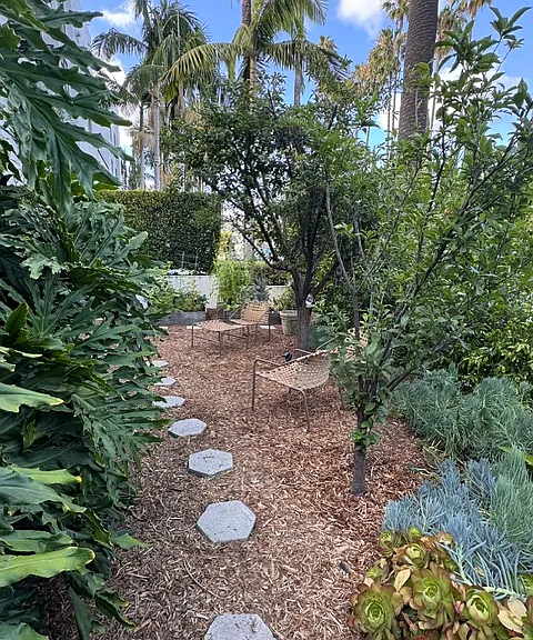 445 N Doheny Dr #B — Photo 21