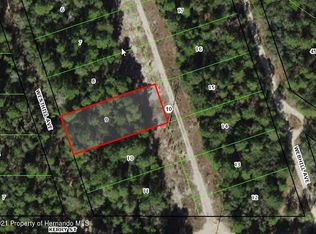 310 Westhill Ave, Inverness, FL 34452