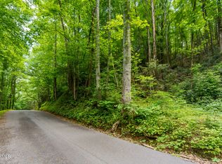 LOT 8 Zurich Rd, Gatlinburg, TN 37738