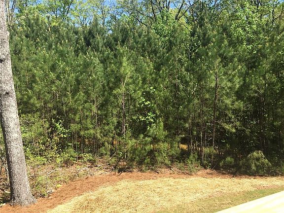 Beautiful Backyard Lush Trees