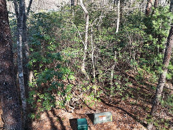 4th image of 2 Crumley Creek Rd