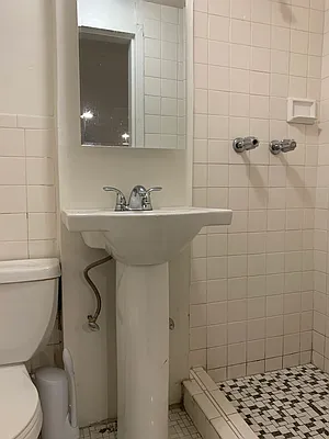 Rented by Native New York Real Estate Inc | media 11