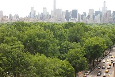 Rented by Rachel Realty