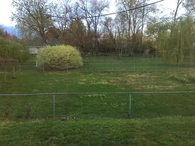 Back yard