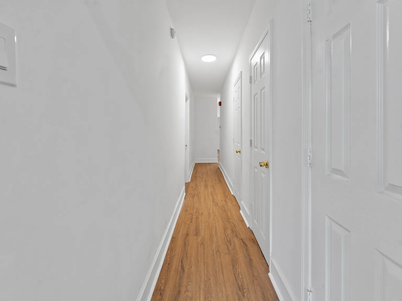 2 bed, 1000 sqft, $1,600 — Photo 4