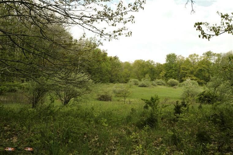 1st image of S 38th St