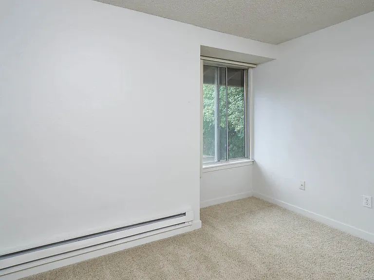 Carpeted Bedroom