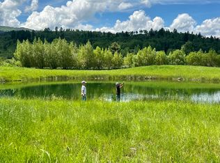 43 River Trail Cir, Alpine, WY 83128