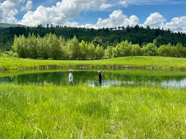 43 River Trail Cir, Alpine, WY 83128