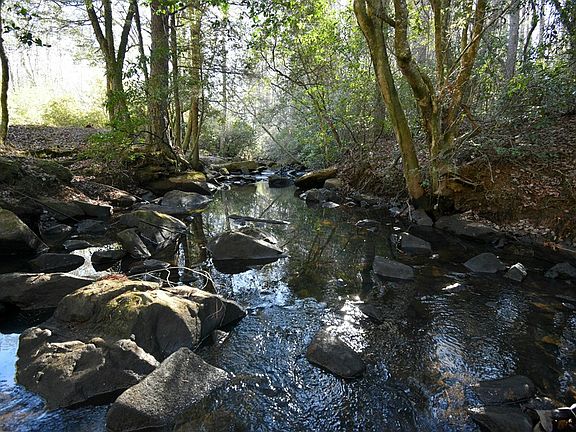 4th image of 21 Acre Mantria Ave