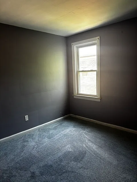 1931 Ewald Circle - 1 — Photo 4