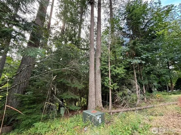 8 Morning Glory Drive, Bellingham, WA 98229