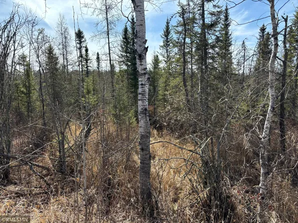 Soo Line Trl, McGregor, MN 55760