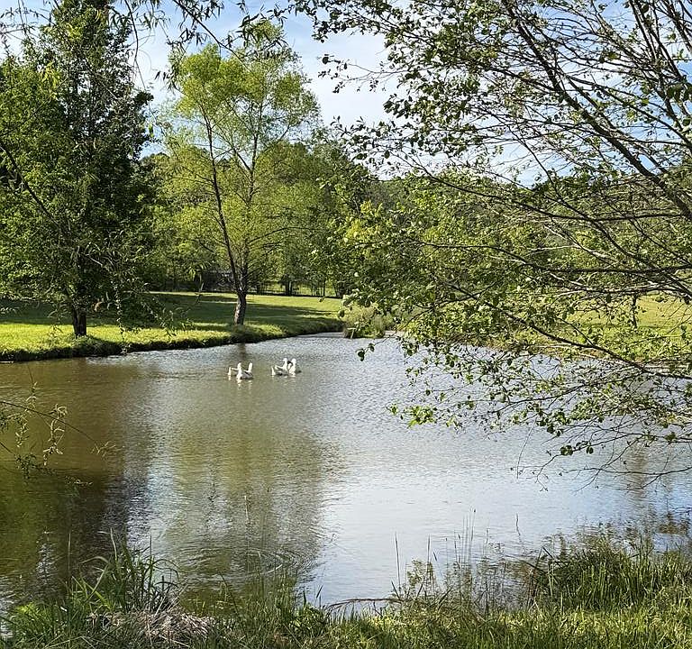 1st image of 0 Barnett Rd