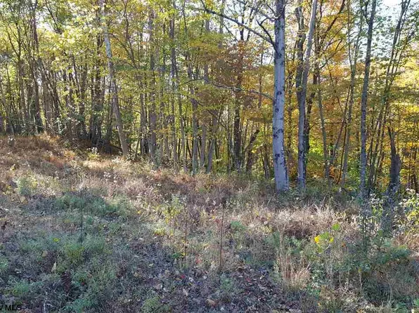 0 Bortz Mine Rd, Lake Lynn, PA 15451
