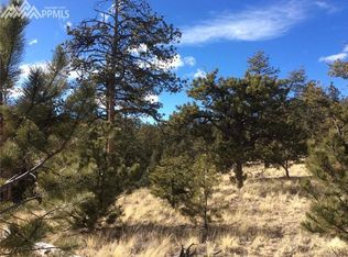 125 Black Mesa Cir, Florissant, CO 80816