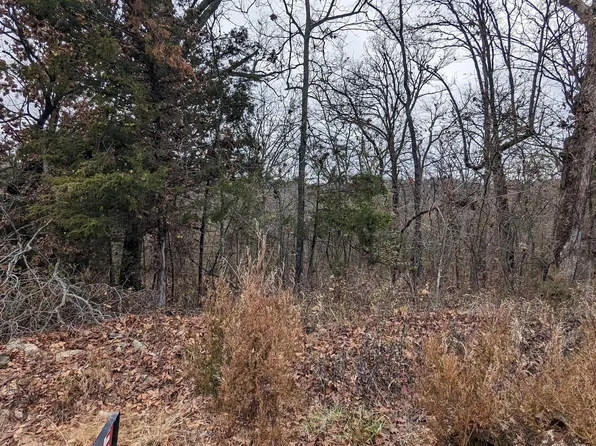 000 Sundown Lane Lane, Forsyth, MO 65653