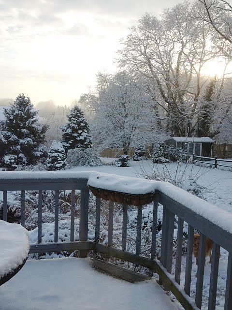 Deck view from dining area