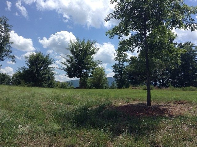 2nd image of #53 And  54 Mountain Parkway