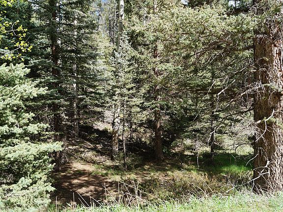 4th image of 1210 E Bison Creek Trl