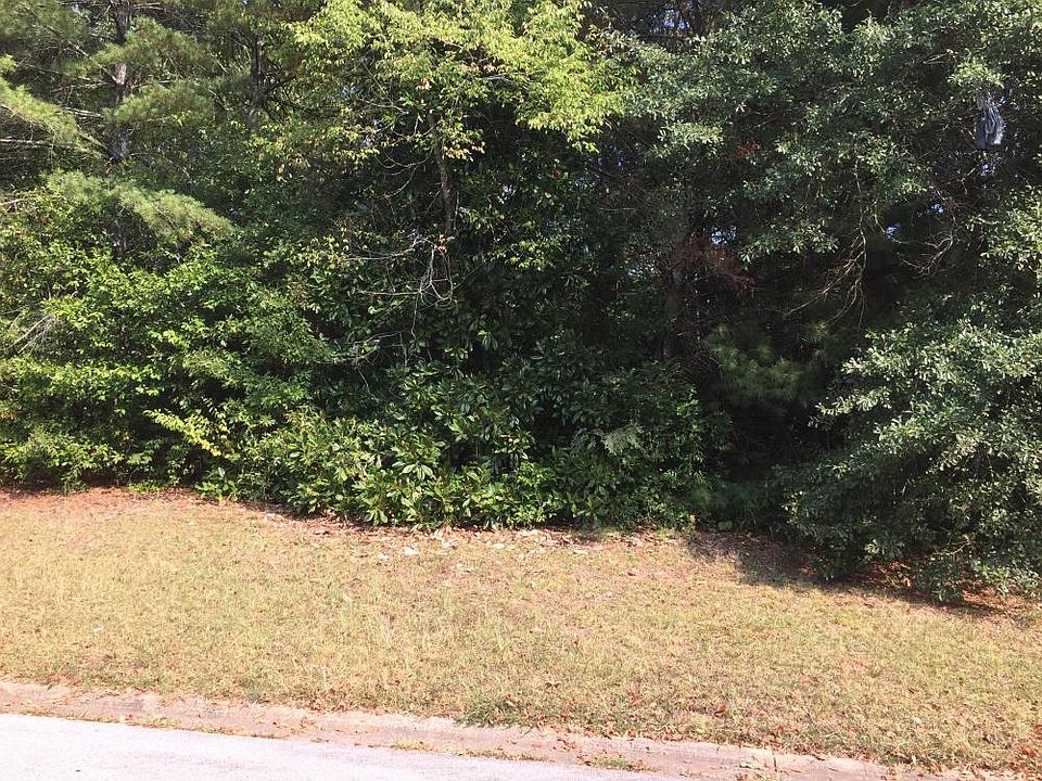 Wooded Lot