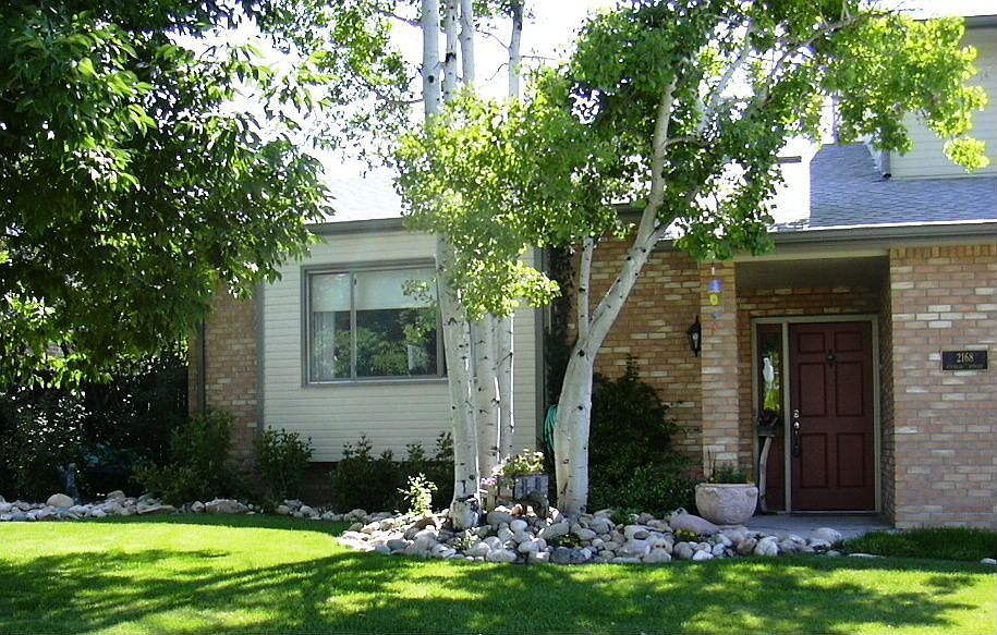 Front View