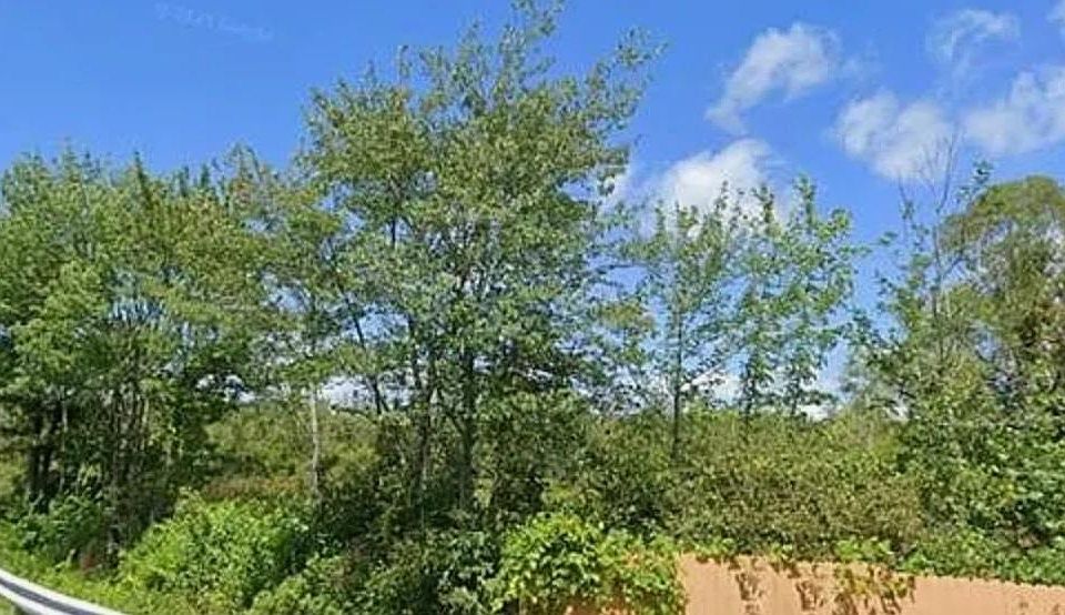 2nd image of 171 Lakeside Road