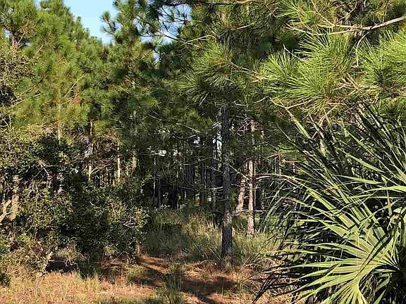 2nd image of Driftwood Dr #13