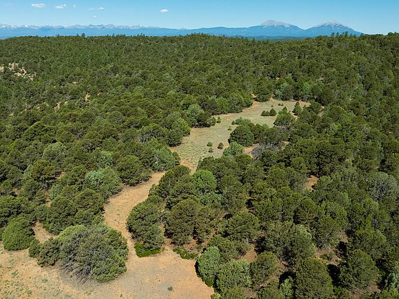 5th image of 15536 Ponderosa Loop