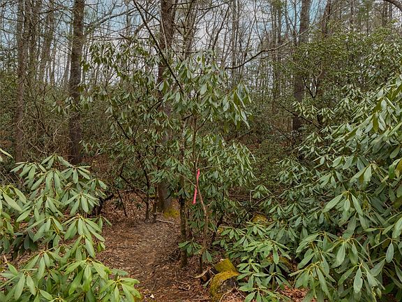 5th image of Lot 48 Winding Creek Road