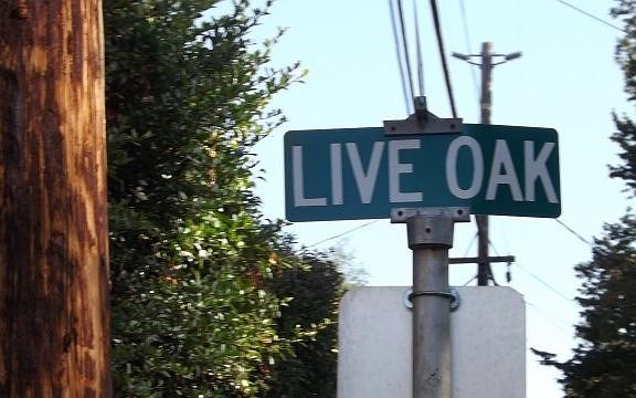 4th image of 305 Live Oak St