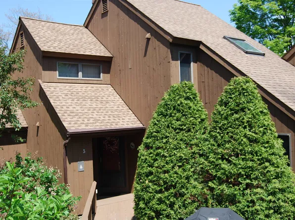 3 Lakeview Place #3/138.003, Grantham, NH 03753